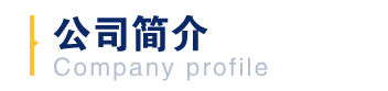 公司簡(jiǎn)介